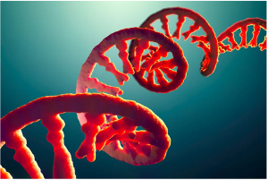 Self-Amplifying RNA Shots Are Coming: The Untold Danger